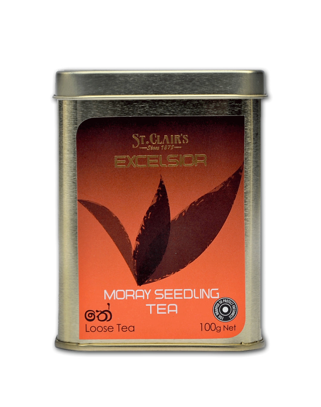 Moray Seedling Tea